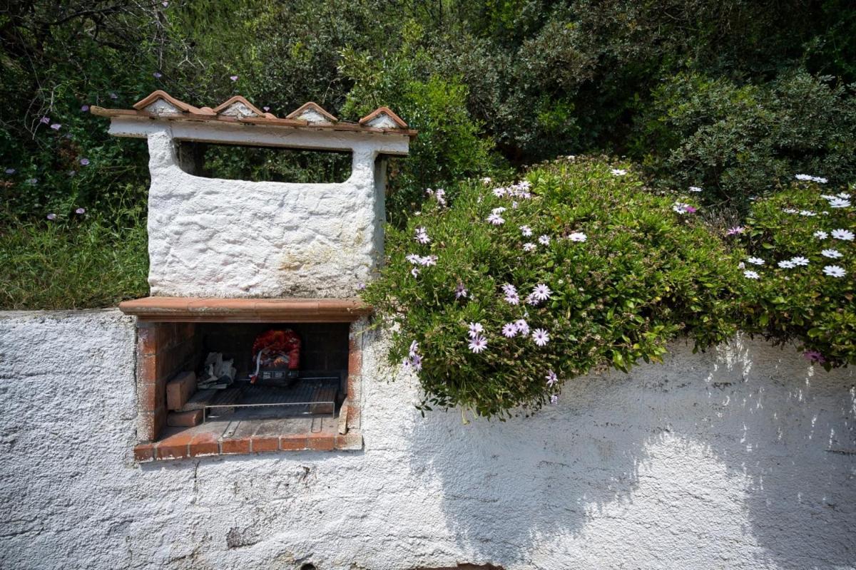 Alloggi Del Mirto A Morcone - Goelba Capoliveri  Exterior photo